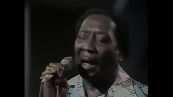 Gelora Lumpur Dan Nafsu: Konser Panas Muddy Waters 1974