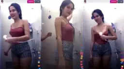 Desi Indian Sex